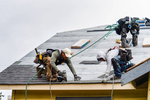 Professional Gutter Installation technician working in Prospect, TN